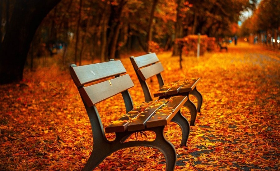7 روش برای اینکه دیگران حس مهم و با ارزش بودن داشته باشند